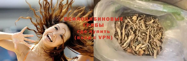 индика Верея