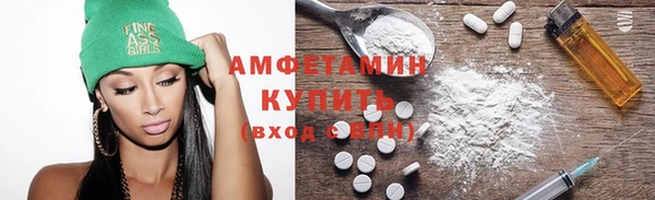 индика Верея