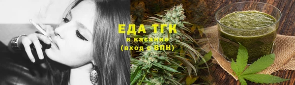 индика Верея