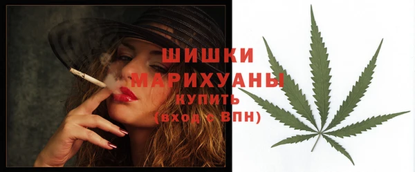 индика Верея