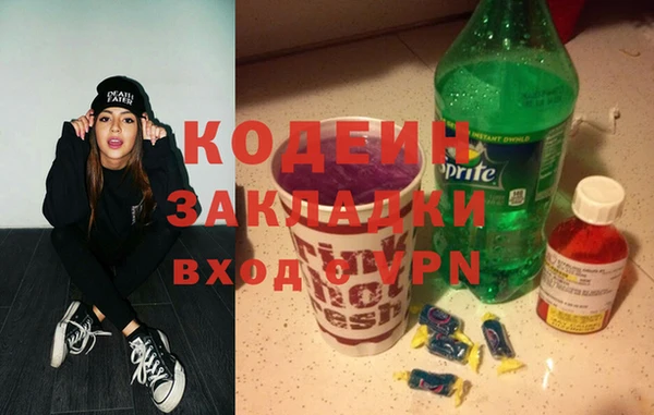 индика Верея