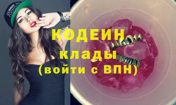 индика Верея