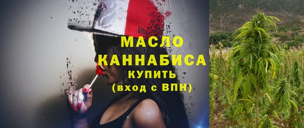индика Верея
