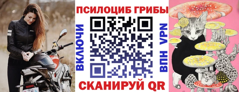 blacksprut онион  Владикавказ  Галлюциногенные грибы мухоморы 